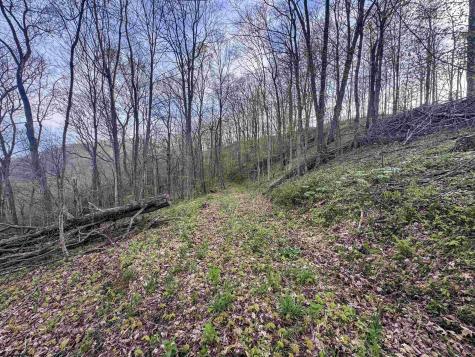 1 Low Gap Run Road Littleton WV 26581