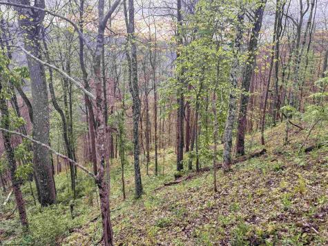1 Low Gap Run Road Littleton WV 26581