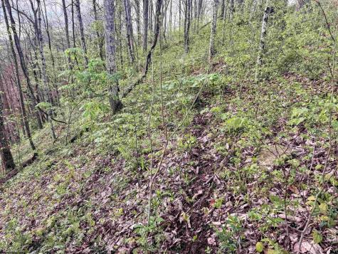 1 Low Gap Run Road Littleton WV 26581