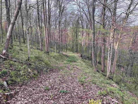 1 Low Gap Run Road Littleton WV 26581