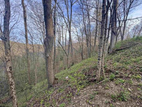 1 Low Gap Run Road Littleton WV 26581