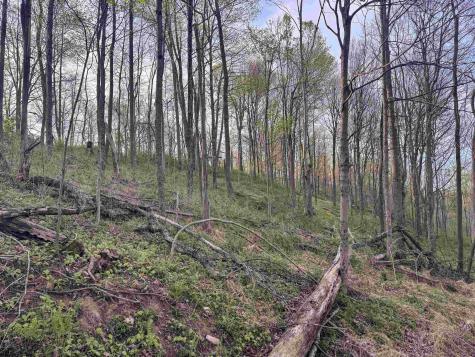 1 Low Gap Run Road Littleton WV 26581
