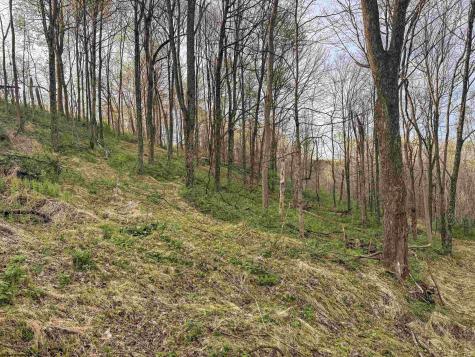 1 Low Gap Run Road Littleton WV 26581
