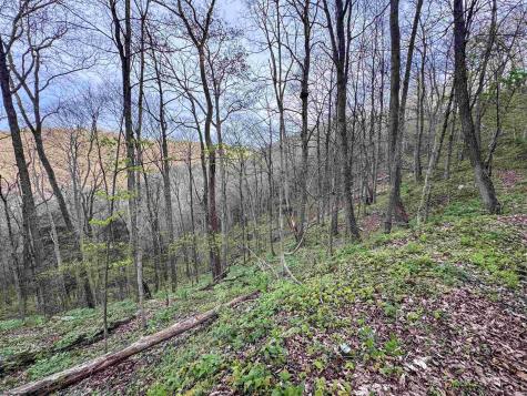 1 Low Gap Run Road Littleton WV 26581