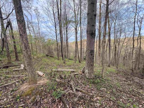 1 Low Gap Run Road Littleton WV 26581