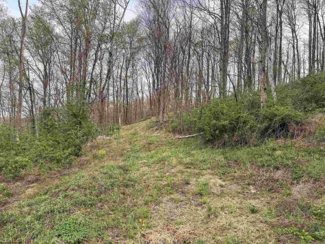 1 Low Gap Run Road Littleton WV 26581