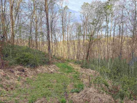 1 Low Gap Run Road Littleton WV 26581