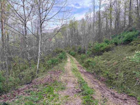 1 Low Gap Run Road Littleton WV 26581