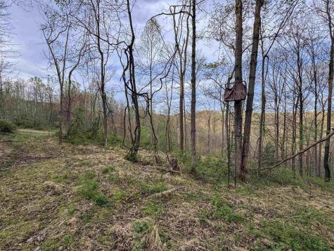 1 Low Gap Run Road Littleton WV 26581