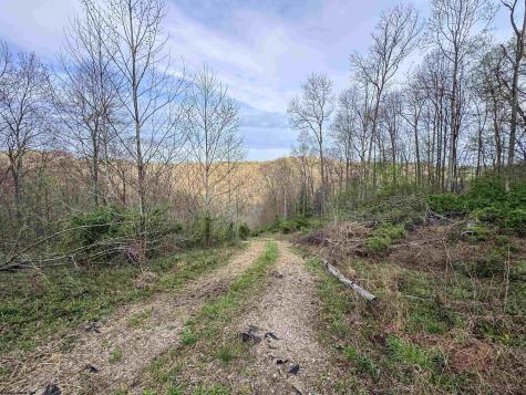 1 Low Gap Run Road Littleton WV 26581