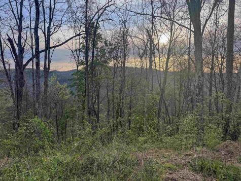 1 Low Gap Run Road Littleton WV 26581