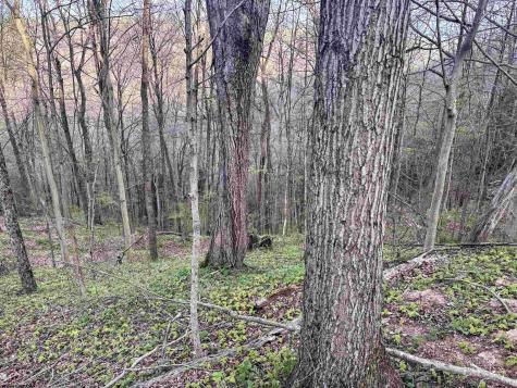 1 Low Gap Run Road Littleton WV 26581