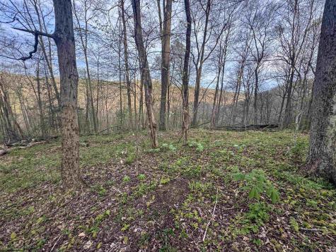 1 Low Gap Run Road Littleton WV 26581