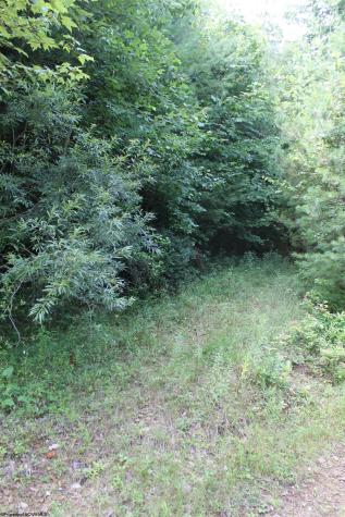 8394 Webster Road Camden On Gauley WV 26208