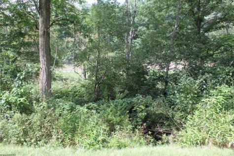 8394 Webster Road Camden On Gauley WV 26208