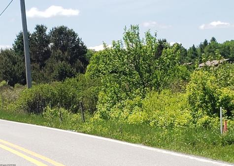 215 Courtland Road Davis WV 26260
