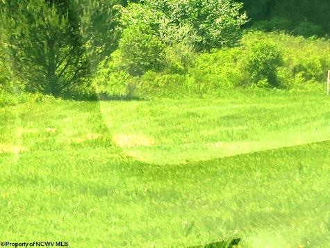 215 Courtland Road Davis WV 26260