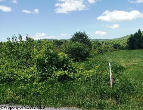 215 Courtland Road Davis WV 26260