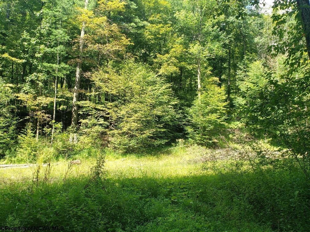 100 Steve Rosier Road Parsons WV 26287