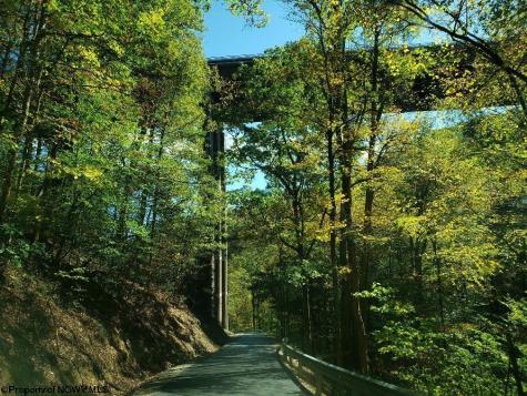 100 Steve Rosier Road Parsons WV 26287