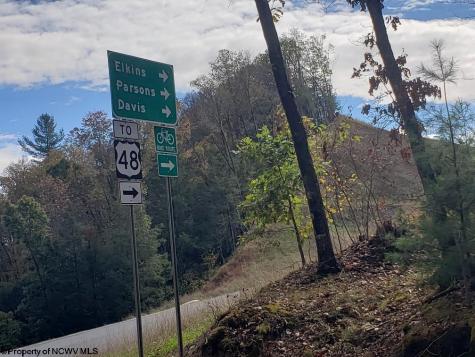 100 Steve Rosier Road Parsons WV 26287