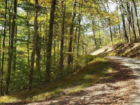 100 Steve Rosier Road Parsons WV 26287