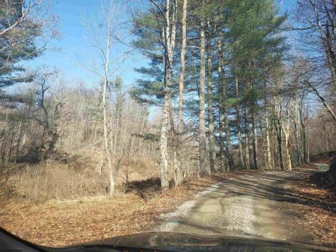 100 Steve Rosier Road Parsons WV 26287