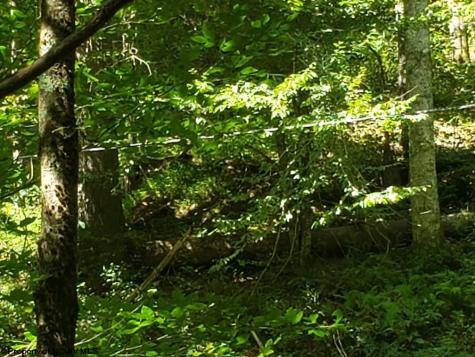 100 Steve Rosier Road Parsons WV 26287