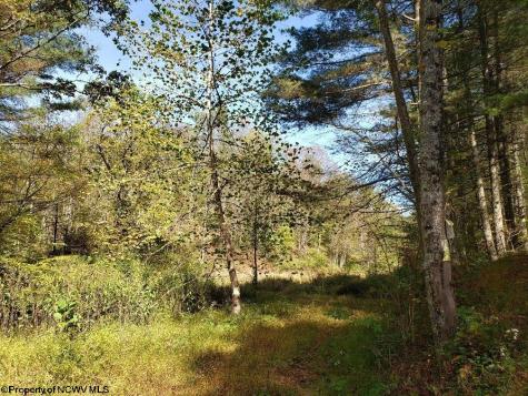 100 Steve Rosier Road Parsons WV 26287