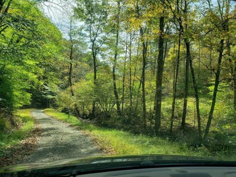 100 Steve Rosier Road Parsons WV 26287