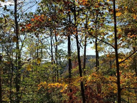 100 Steve Rosier Road Parsons WV 26287