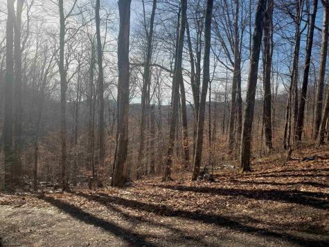 100 Steve Rosier Road Parsons WV 26287