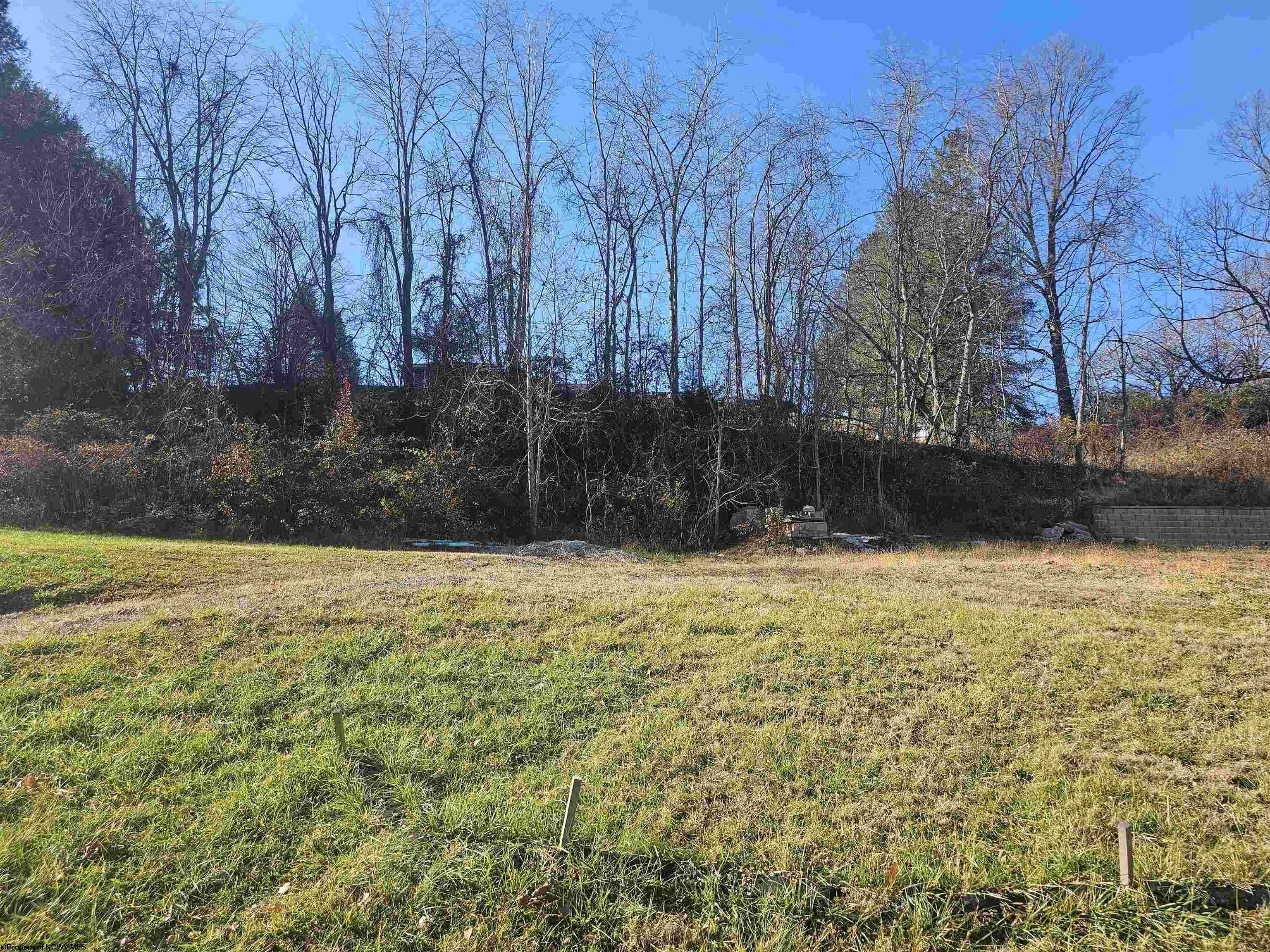 9 Hall Valley Court Bridgeport WV 26330
