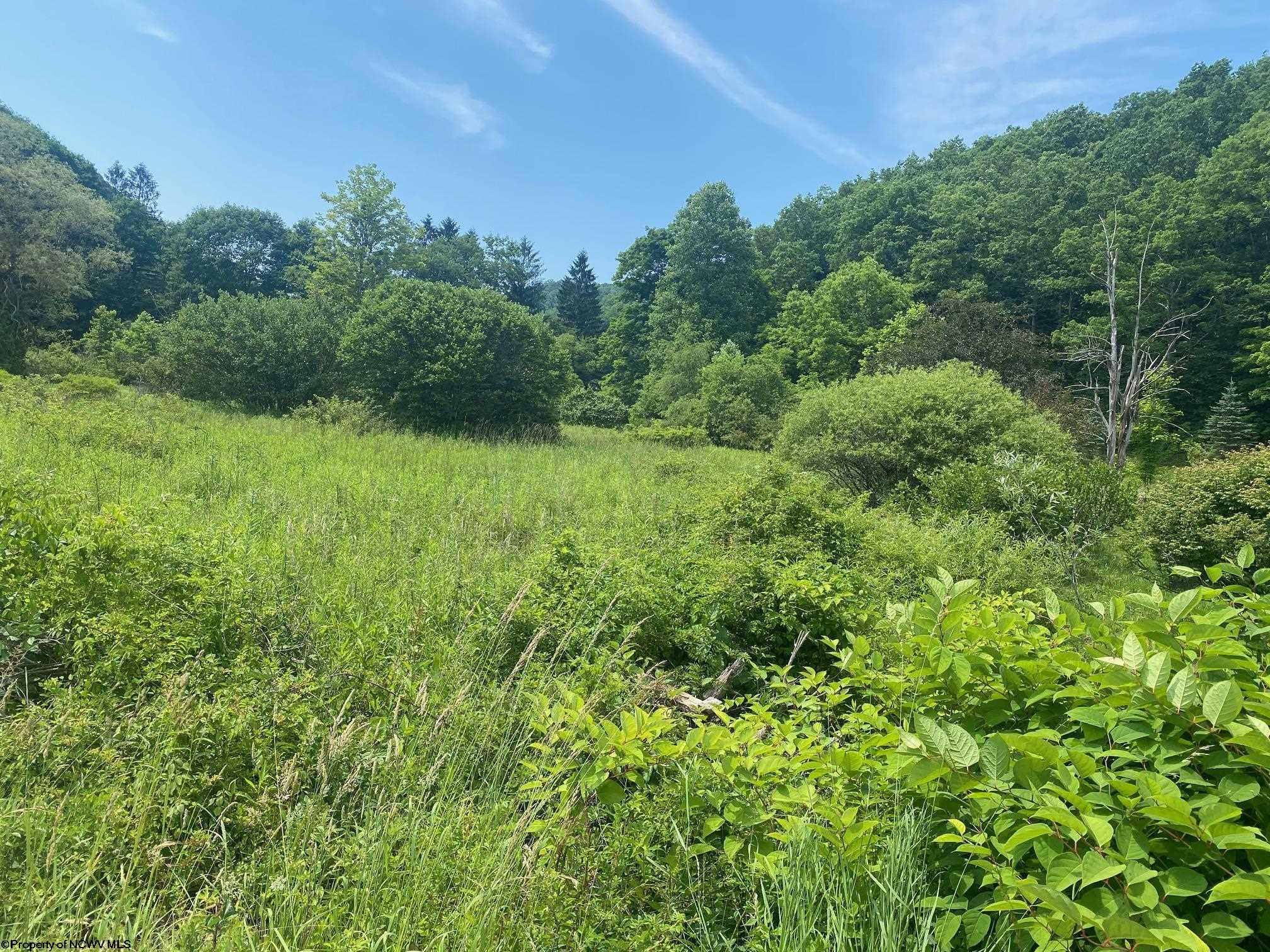 0 Grass Lick Run Montrose WV 26283
