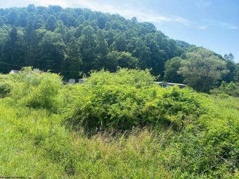 0 Grass Lick Run Montrose WV 26283