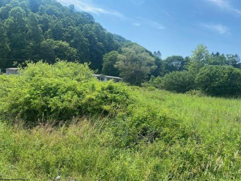 0 Grass Lick Run Montrose WV 26283