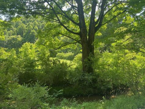 0 Grass Lick Run Montrose WV 26283