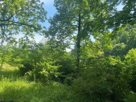 0 Grass Lick Run Montrose WV 26283