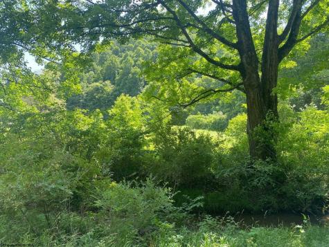 TBD Grass Lick Run Montrose WV 26283