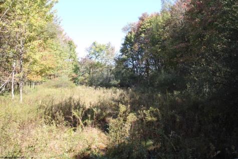 1429 Sand Bank Road Masontown WV 26542