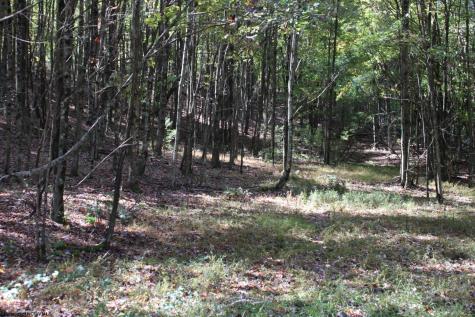 1429 Sand Bank Road Masontown WV 26542