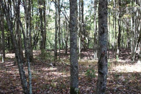 1429 Sand Bank Road Masontown WV 26542