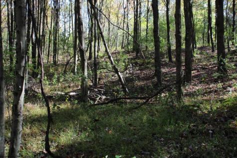 1429 Sand Bank Road Masontown WV 26542