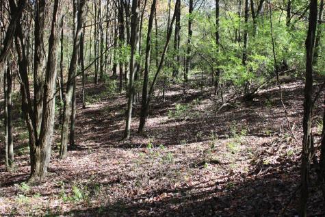 1429 Sand Bank Road Masontown WV 26542