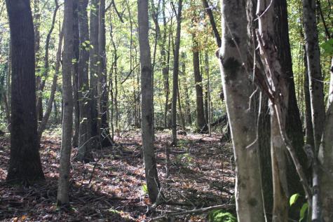 1429 Sand Bank Road Masontown WV 26542