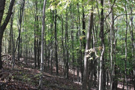 1429 Sand Bank Road Masontown WV 26542