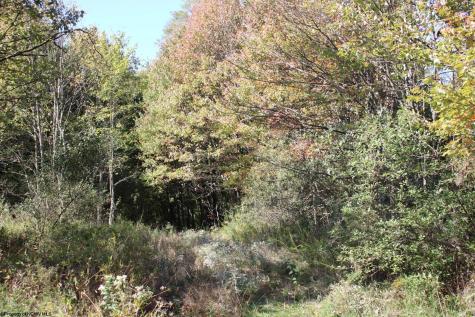 1429 Sand Bank Road Masontown WV 26542