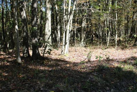 1429 Sand Bank Road Masontown WV 26542