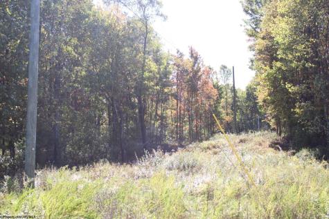 1429 Sand Bank Road Masontown WV 26542