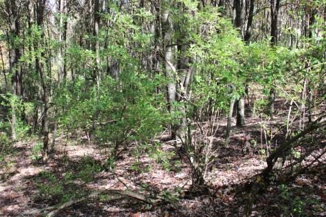 1429 Sand Bank Road Masontown WV 26542